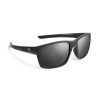 Birdz Alpha Omega 4 Sunglasses with black frame and smoke lenses. Alpha Omega Logo is printed on the side of the frame